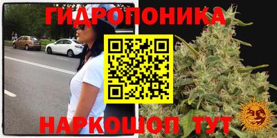 PSILOCYBIN Ипатово
