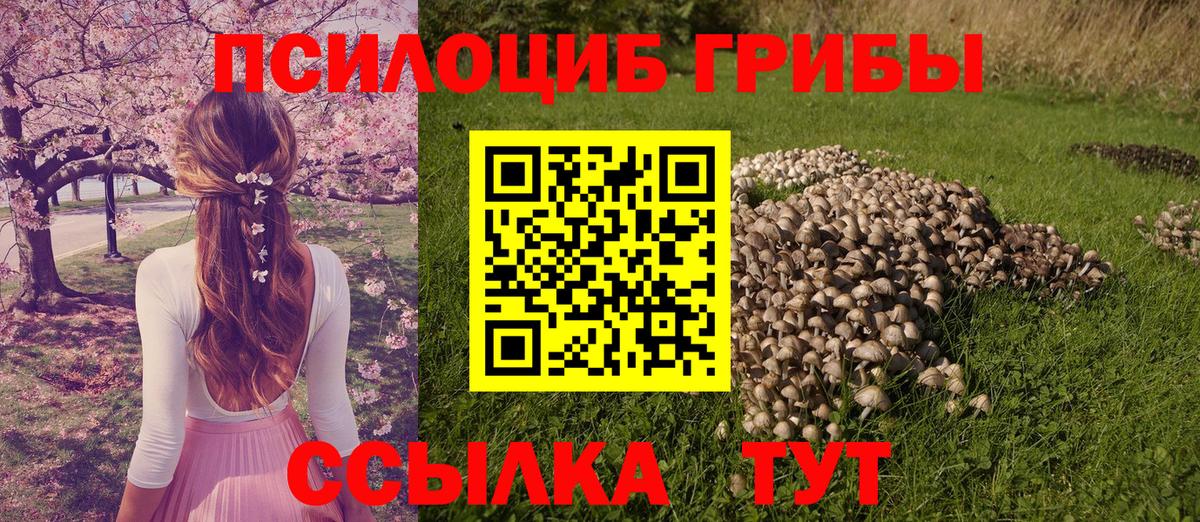 купить   Вход с VPN  Советский  Галлюциногенные грибы MAGIC MUSHROOMS  Галлюциногенные грибы ЛСД 
